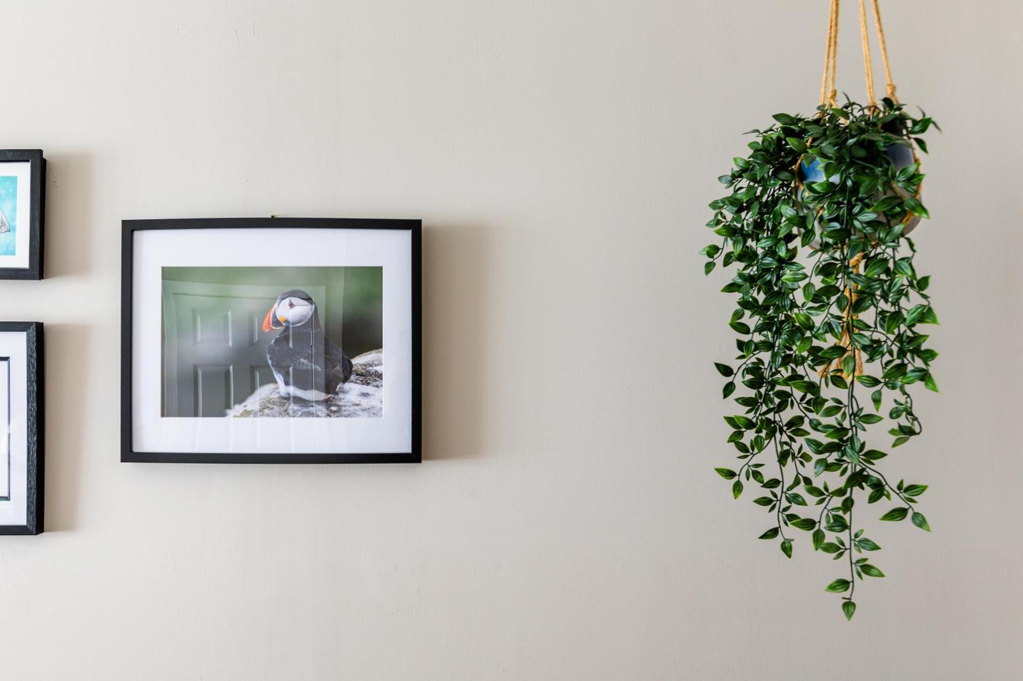 Sea Breeze Apartment Anstruther Bagian luar foto